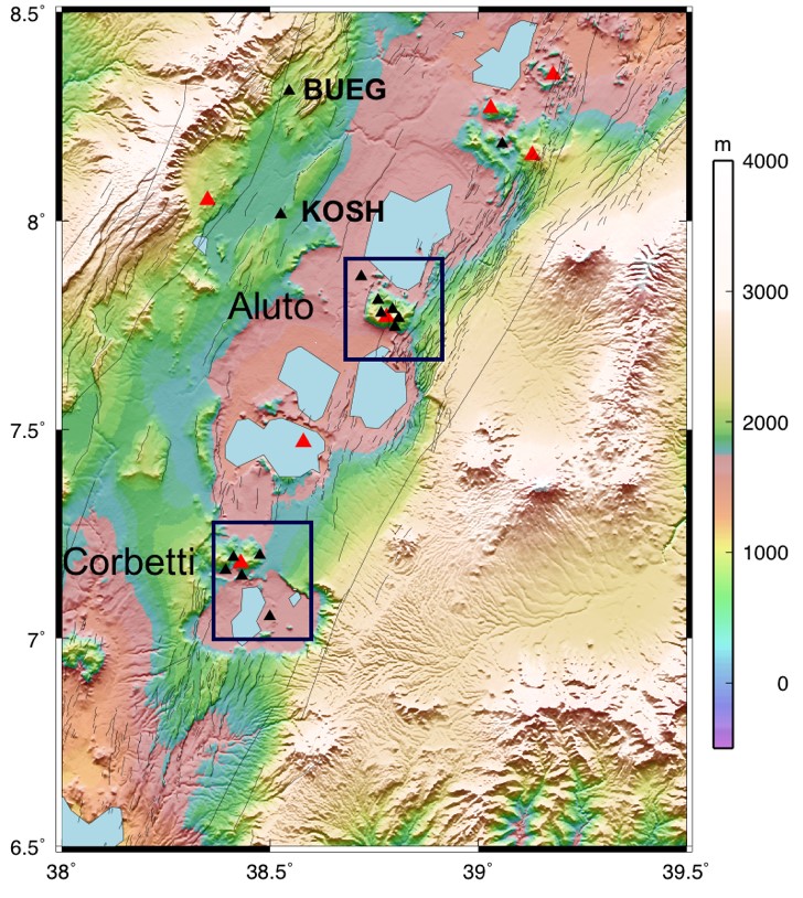 [Figure 1]